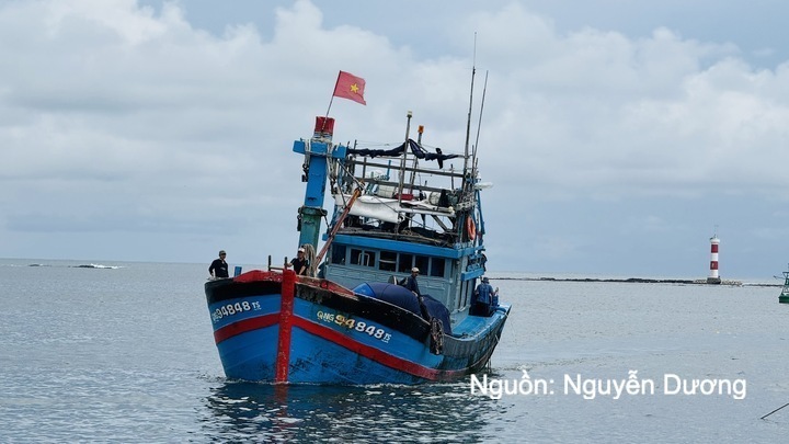 Gỡ 'thẻ vàng' IUU: Kiểm soát chặt thủy sản xuất khẩu sang EU