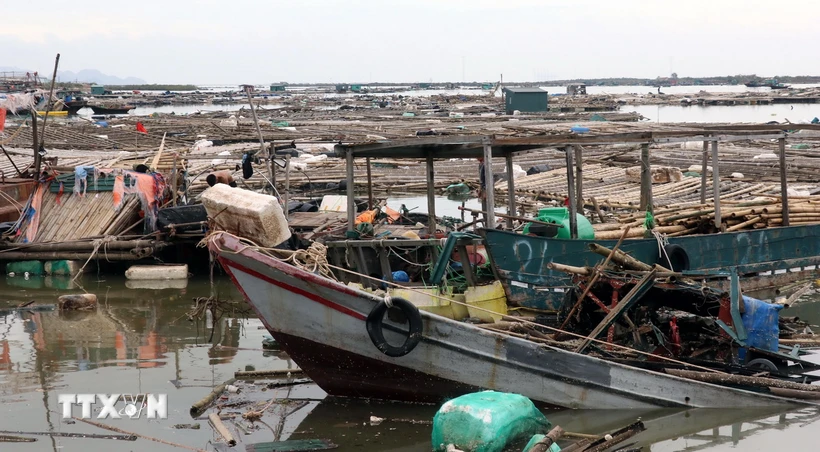 Quảng Ninh: Xem xét hỗ trợ tín dụng cho khách hàng bị thiệt hại do bão số 3