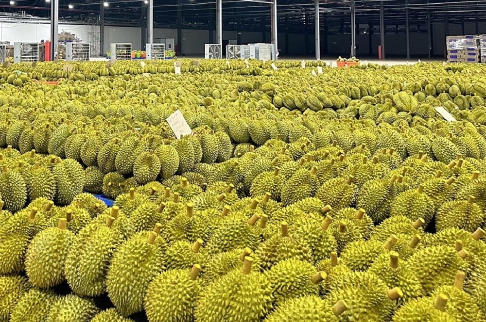 Ngành rau quả lần đầu vượt 1 tỉ USD/tháng, cảnh báo từ việc thu hồi mã số vùng trồng