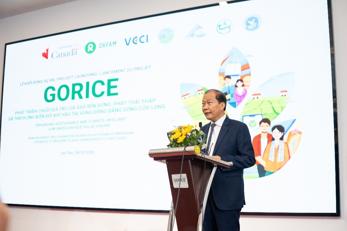 VCCI thúc đẩy phát triển chuỗi giá trị lúa gạo phát thải thấp, bền vững tại Đồng bằng sông Cửu Long