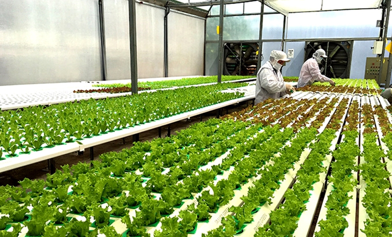 bo-sung-chinh-sach-tin-dung-khuyen-khich-nong-nghiep-huu-co-tuan-hoan