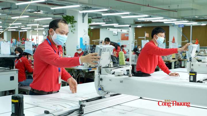 Thương hiệu quốc gia mở đường nâng vị thế hàng Việt