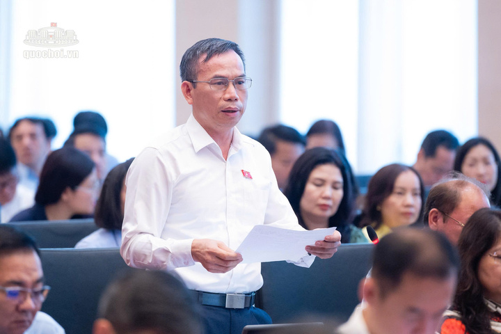 dai-bieu-quoc-hoi-cho-y-kien-ve-du-an-luat-sua-doi-bo-sung-mot-so-dieu-cua-luat-ke-toan-luat-kiem-toan-doc-lap