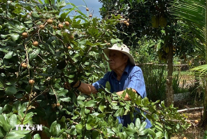 11.cuu-chien-binh.jpg 11.cuu-chien-binh.jpg