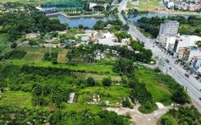 Căn cứ quy hoạch nào để chuyển mục đích sử dụng đất?