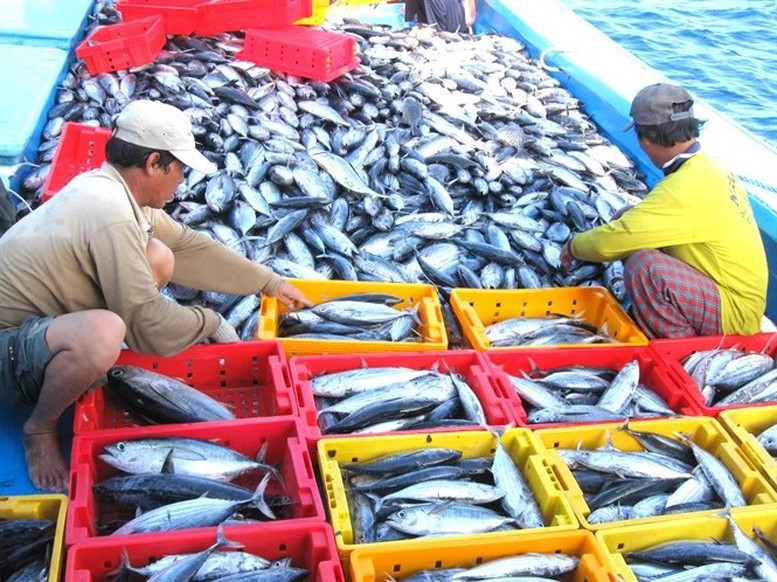 muc-tieu-xuat-khau-nong-san-100-ty-usd-nhan-dien-nhung-nut-that-de-xuat-khau-thuy-san-ve-dich
