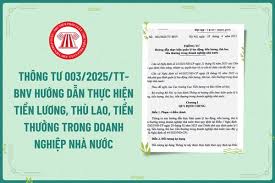Thông tư 003/2025/TT-BNV hướng dẫn thực hiện quản lý lao động, tiền lương, thù lao, tiền thưởng trong DNNN