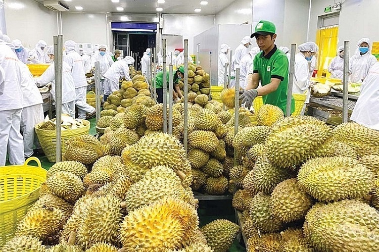 Truy xuất nguồn gốc: ‘Tấm vé’ giữ thị trường tỷ USD cho sầu riêng Việt