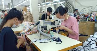 Công ty ngừng hoạt động, làm thế nào để hưởng chế độ thai sản?