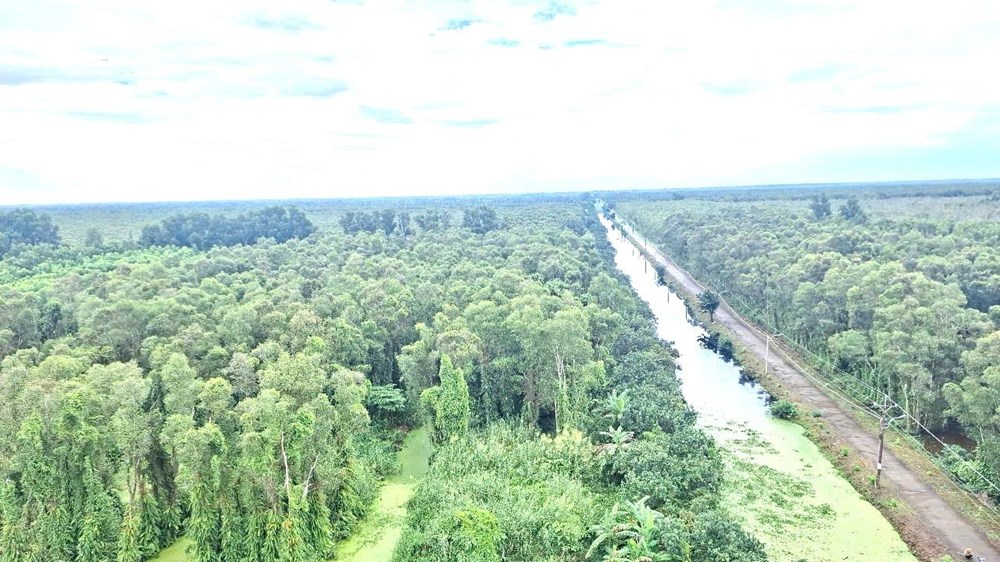 Cà Mau đón 7,2 triệu lượt du khách, doanh thu hơn 7.637 tỉ đồng