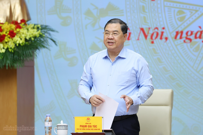 pho-thu-tuong-thuong-truc-pham-gia-tuc-lam-chu-tich-hoi-dong-tham-dinh-quy-hoach-khoang-san-nhom-i