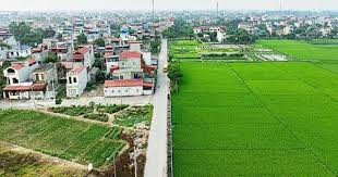 Đất lúa cạnh khu dân cư có được chuyển sang đất ở?