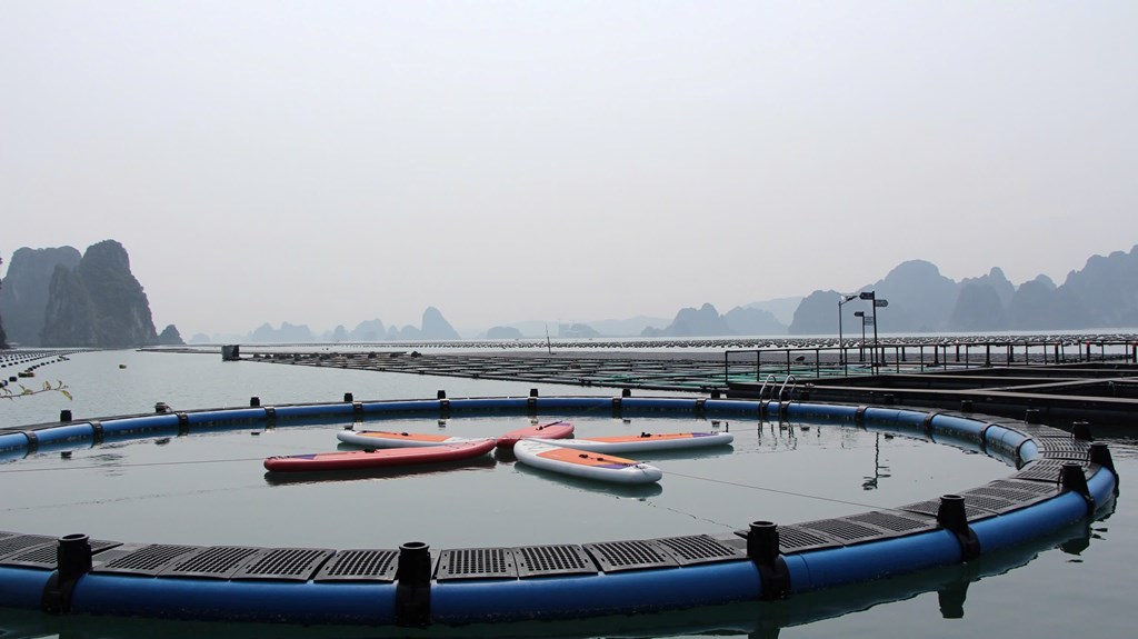 quang-ninh-se-hoan-thanh-muc-tieu-tang-truong-tin-dung-123
