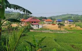 khac-phuc-hau-qua-khi-su-dung-dat-sai-muc-dich-bang-cach-nao