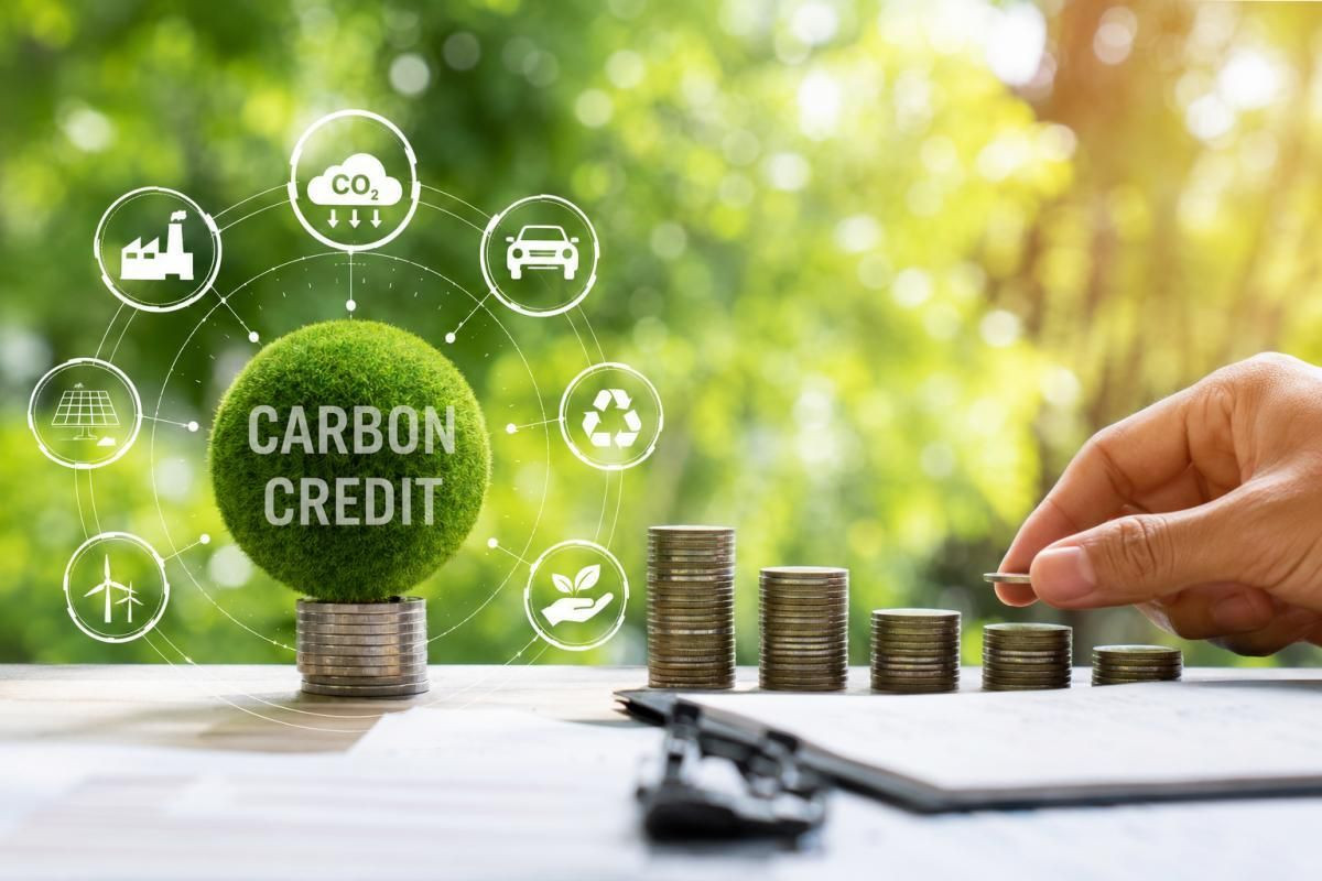 Giải mã thanh khoản "khiêm tốn" của sàn giao dịch carbon trong nước