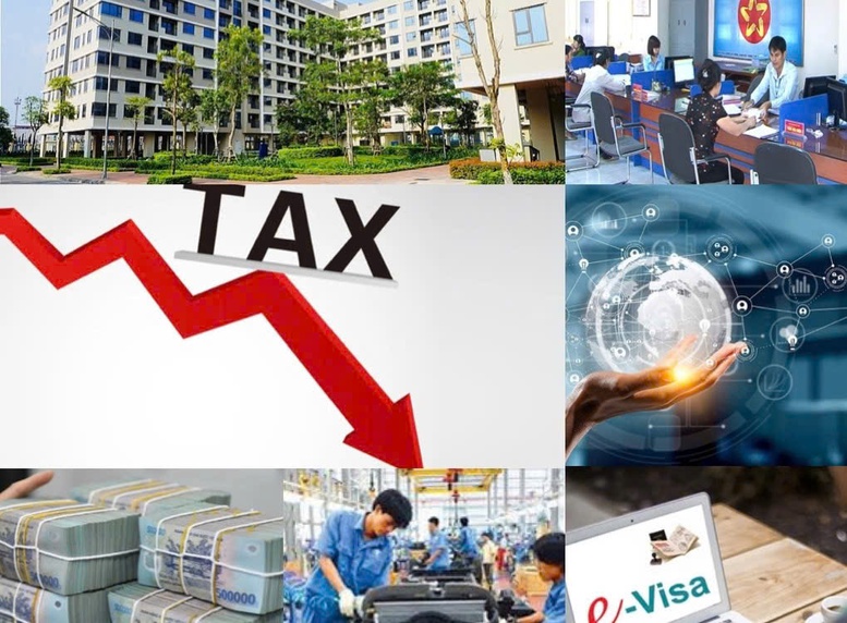 nhiem-vu-giai-phap-trong-tam-ve-cat-giam-thu-tuc-hanh-chinh-cai-thien-moi-truong-kinh-doanh-thuc-day-phat-trien-kinh-te-xa-hoi