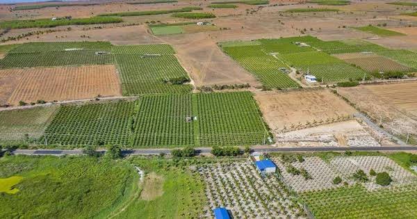 Đất vào quy hoạch nhưng chưa triển khai, có được chuyển mục đích?