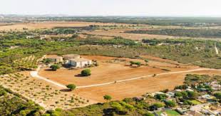 co-gia-han-hieu-luc-cua-thong-bao-thu-hoi-dat