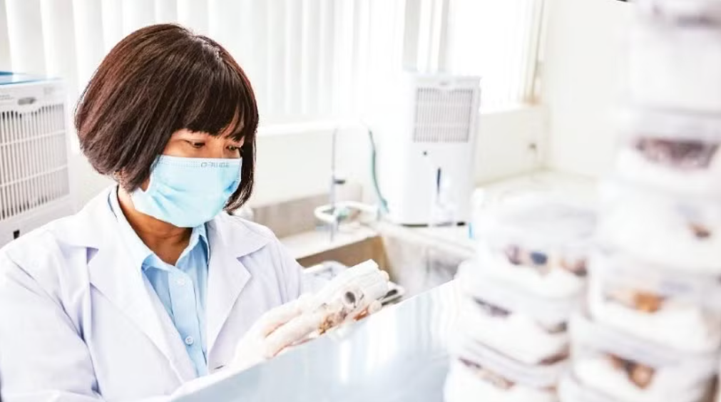 Đột phá công nghệ nối dài hành trình tri ân