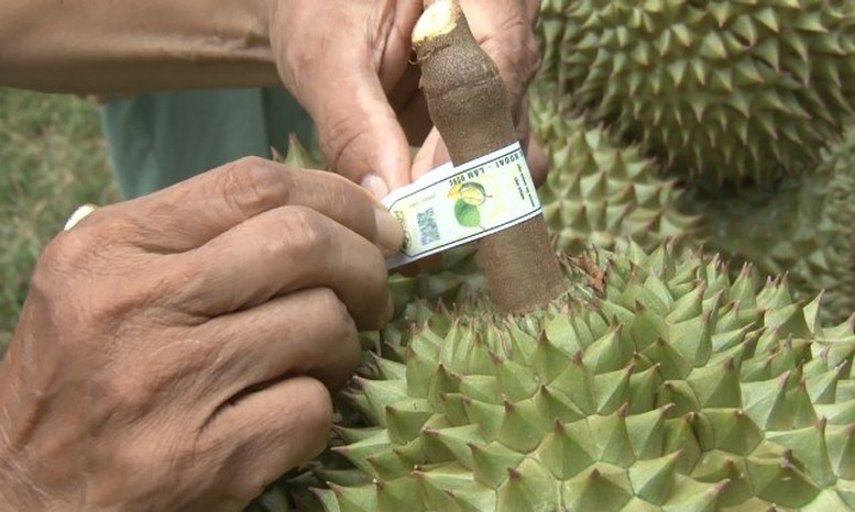 ma-so-vung-trong-tu-giay-thong-hanh-den-nen-tang-nong-nghiep-ben-vung