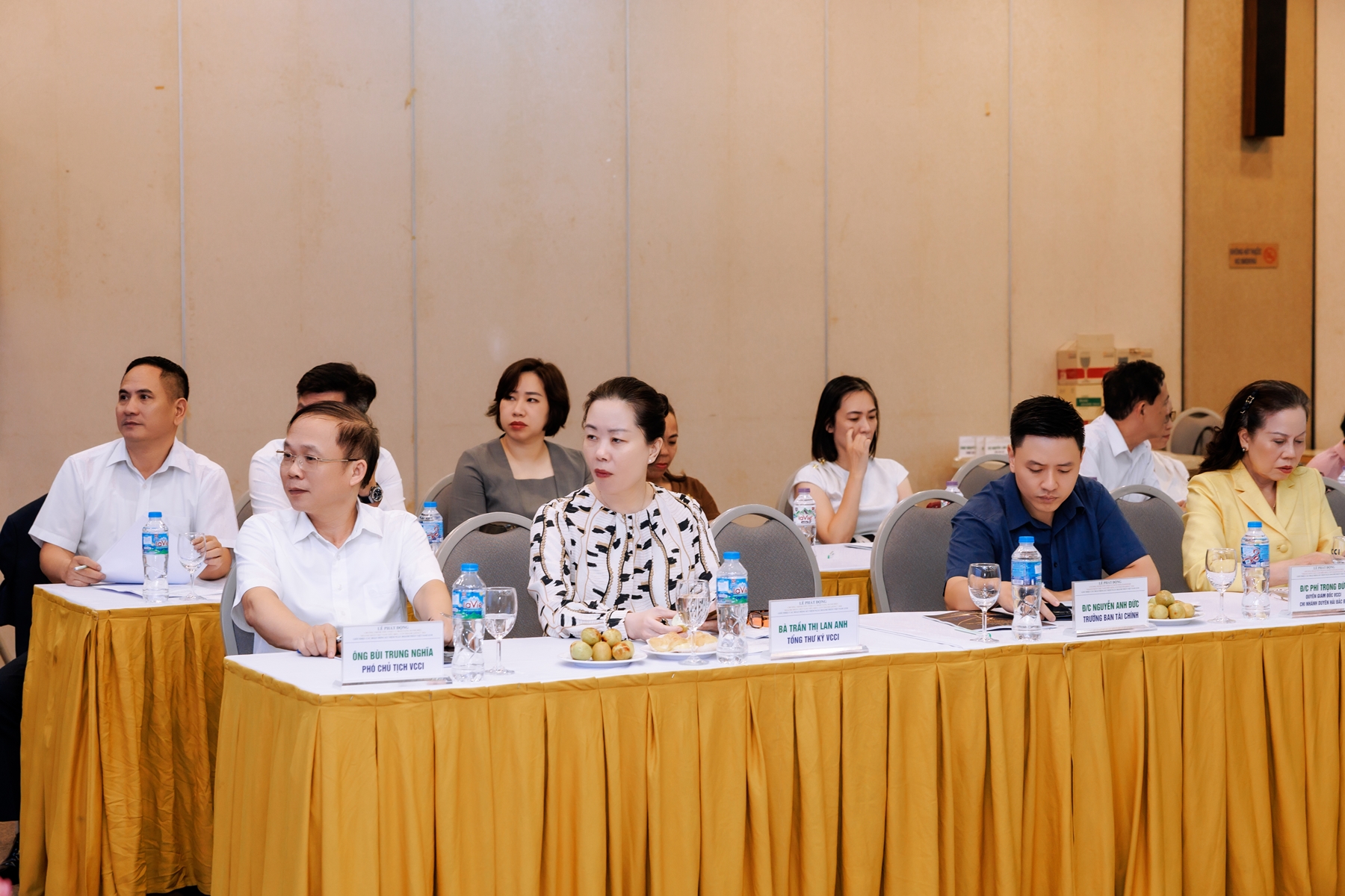 “Doanh nhân Việt Nam tiêu biểu - Cúp Thánh Gióng” 11/8/2026