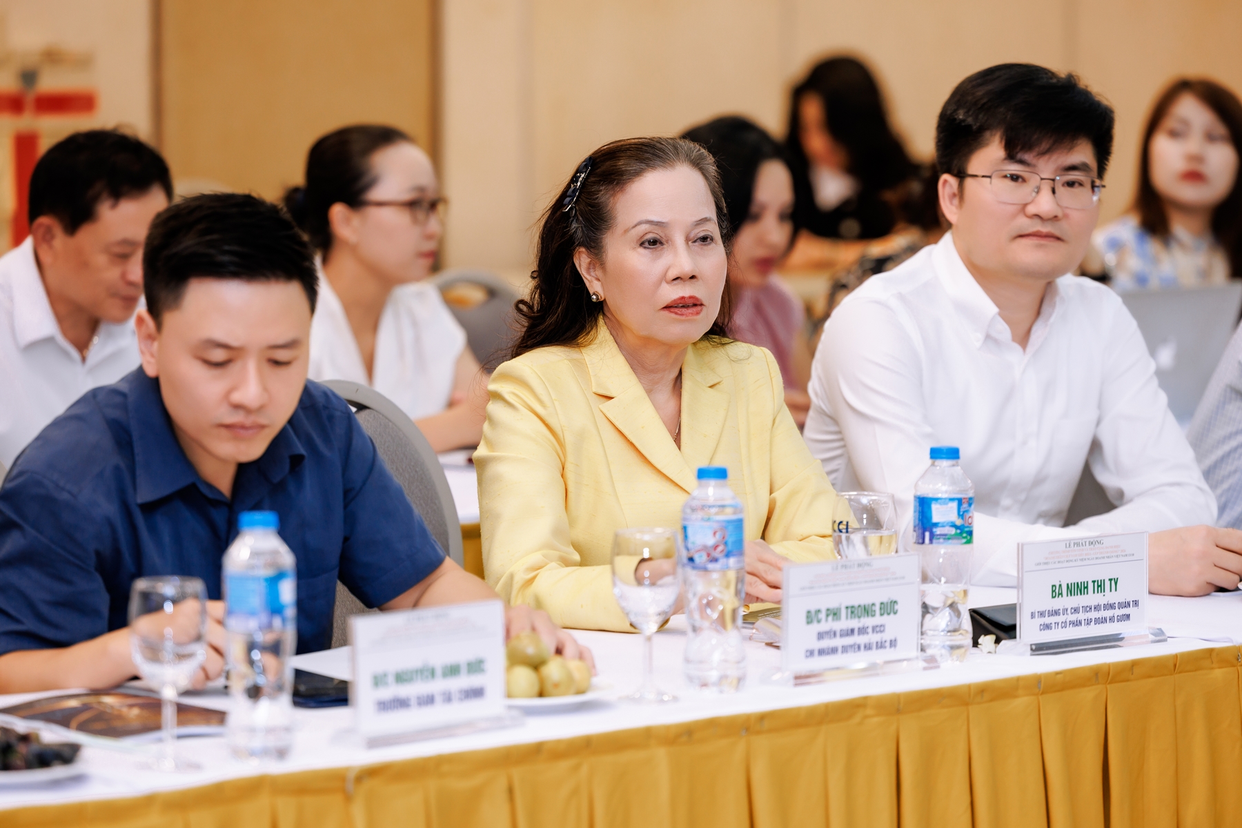 “Doanh nhân Việt Nam tiêu biểu - Cúp Thánh Gióng” 11/8/2026