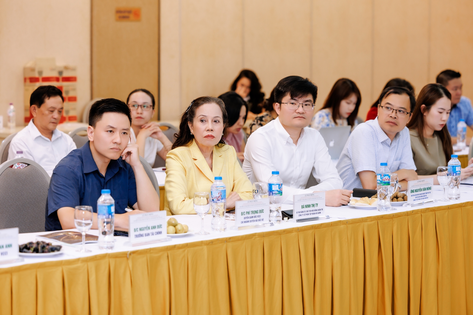 “Doanh nhân Việt Nam tiêu biểu - Cúp Thánh Gióng” 11/8/2026