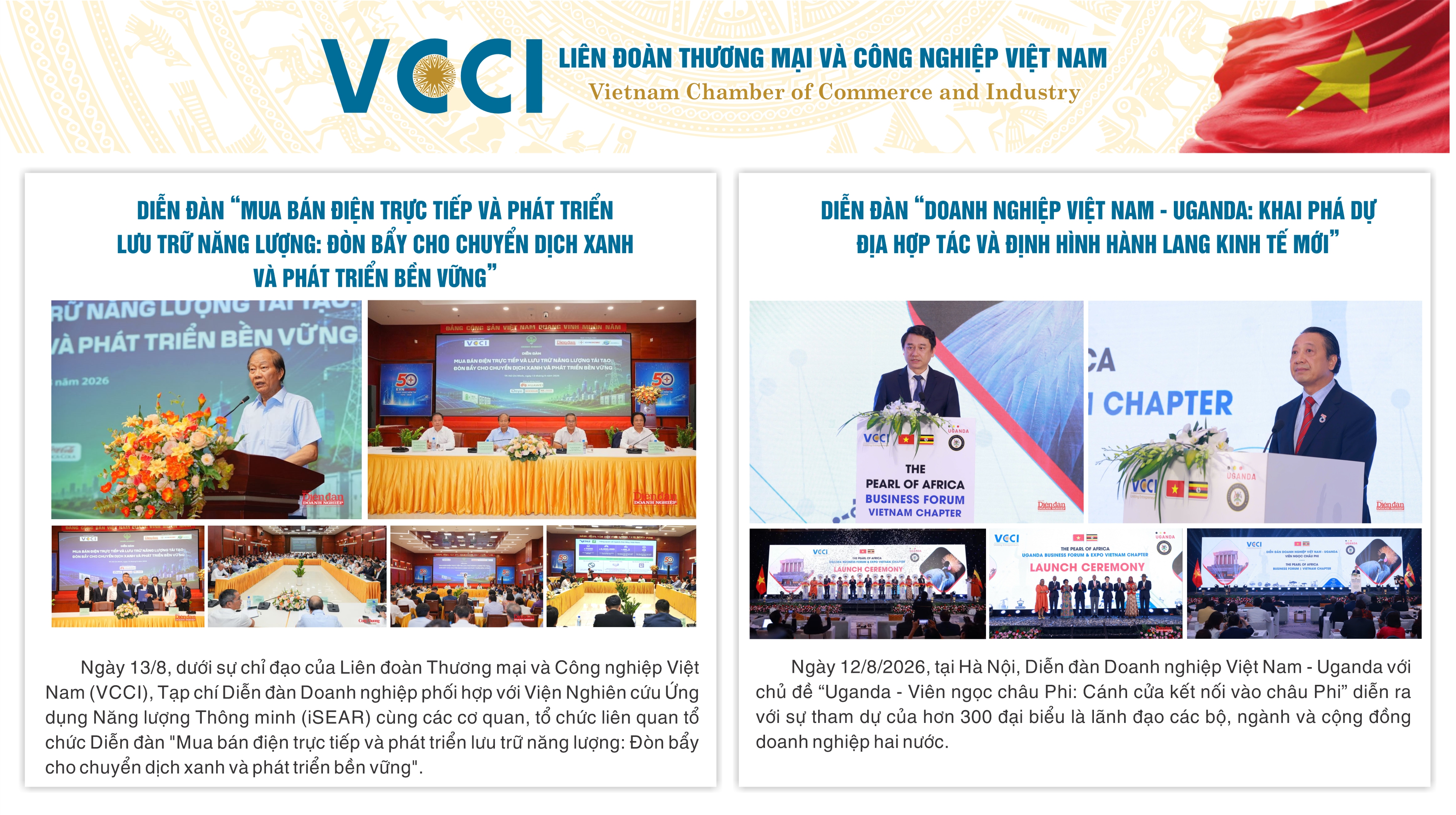 Các Hoạt động tháng 8/2026