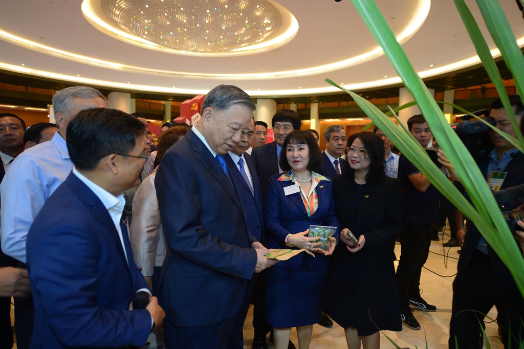 HỘI NGHỊ TOÀN QUỐC quán triệt, triển khai thực hiện NQ66 và NQ68 của Bộ Chính trị 18/5/2025