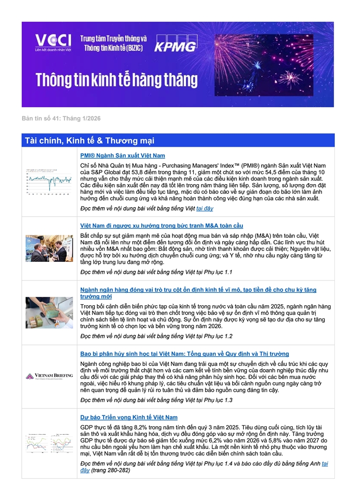 Bản tin VCCI - KMPG số 41