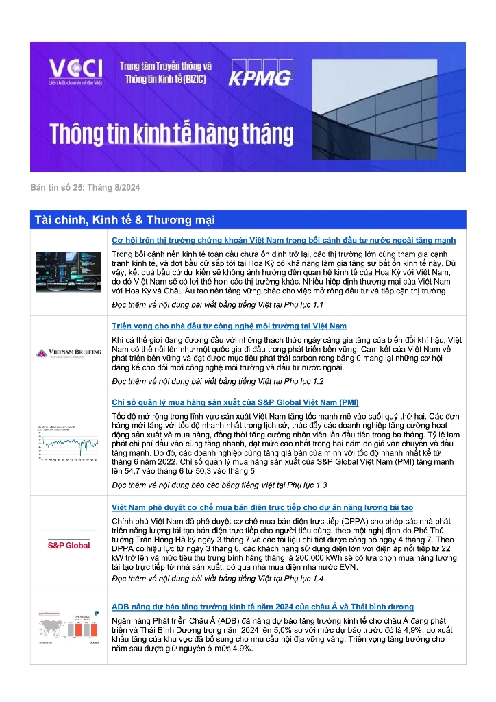Bản tin VCCI - KMPG số 25