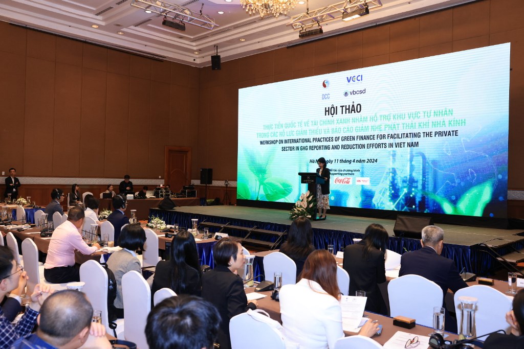 Thực tiễn quốc tế về tài chính xanh nhằm hỗ trợ khu vực tư nhân trong các nỗ lực giảm thiểu và báo cáo giảm nhẹ phát thải khí nhà kính 11/4/2024