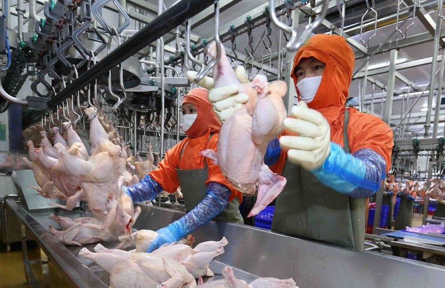 co-hoi-tang-truong-trong-lan-song-rui-ro-viet-nam-can-gi-de-but-toc-ben-vung