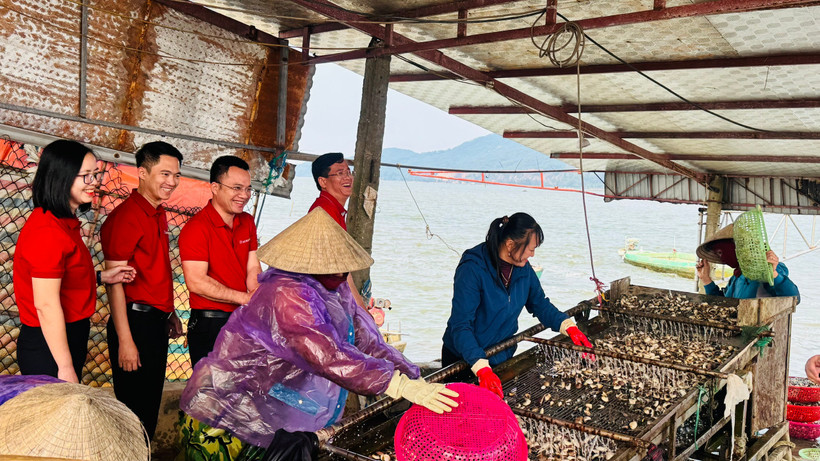 luat-quan-ly-va-dau-tu-von-nha-nuoc-tai-doanh-nghiep-co-hieu-luc-tu-182025