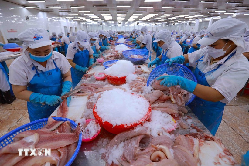 kinh-te-nam-2025-du-bao-nam-2026-tu-chu-chien-luoc-tren-duong-hoi-nhap