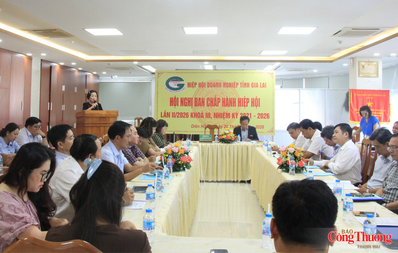 Hiệp hội Doanh nghiệp tỉnh Gia Lai vượt khó, tạo sức bật chặng đường mới