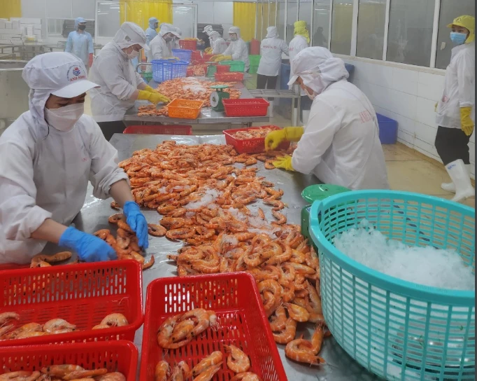 vpbank-truyen-them-suc-manh-cho-cac-doanh-nghiep-xuat-nhap-khau