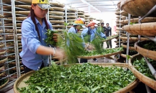 xuat-khau-hang-hoa-viet-nam-sang-pakistan-tang-19