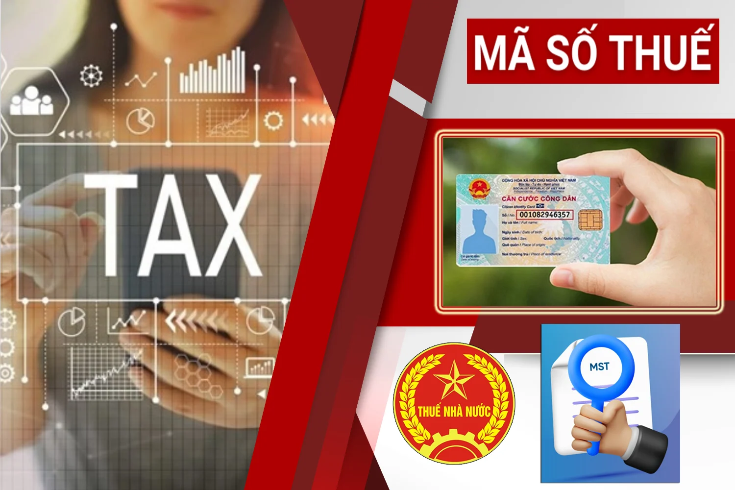 Ngành Thuế mở chiến dịch 'làm sạch': Loại bỏ DN ma, doanh nghiệp chết