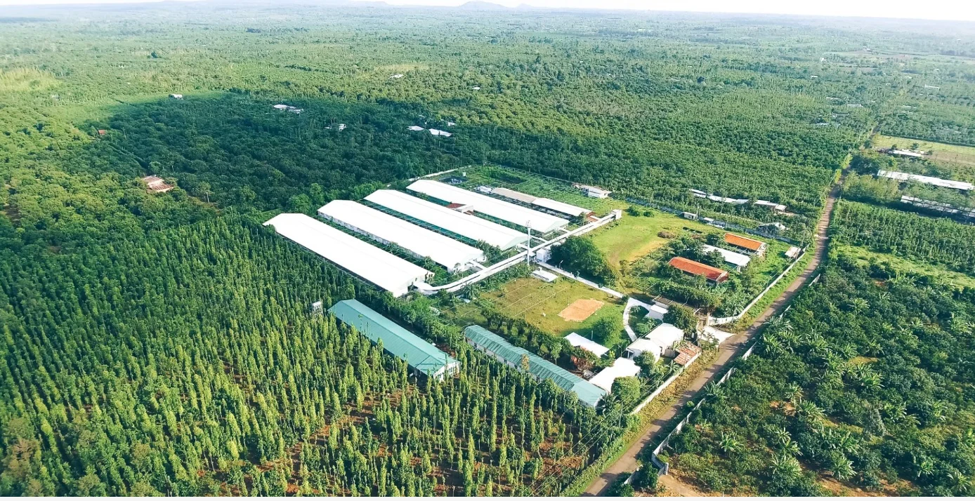 Đầu tư tăng trưởng xanh: Luật chơi mới của toàn cầu, Việt Nam phải nâng chuẩn chính mình