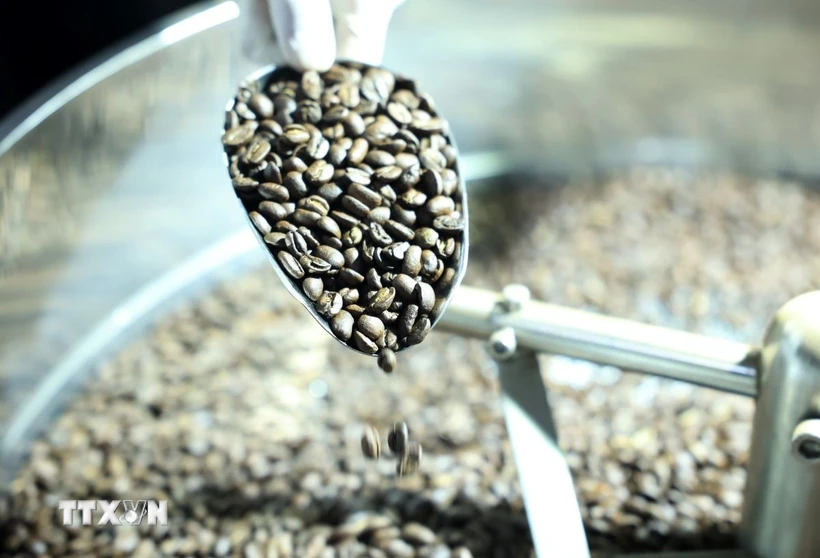 co-hoi-cho-doanh-nghiep-viet-sau-khi-algeria-mien-giam-thue-nhap-khau-caphe