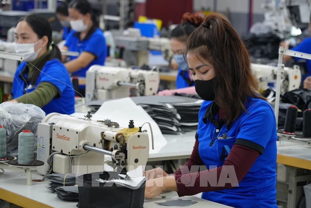 nhieu-doanh-nghiep-ba-ria-vung-tau-co-nhu-cau-lon-ve-lao-dong