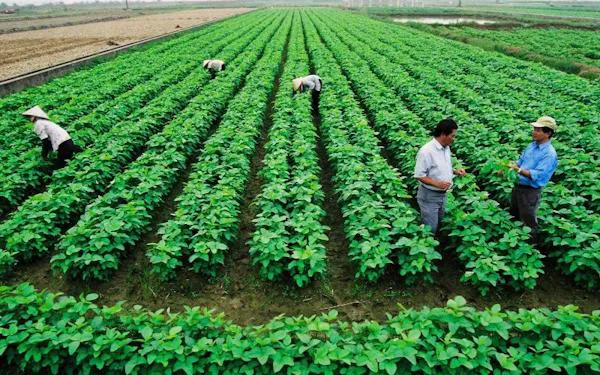 gia-han-su-dung-dat-duoc-thuc-hien-khi-nao