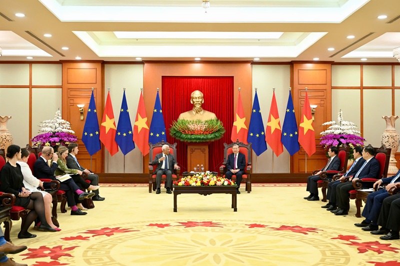 4529091707876152674 (2).jpg