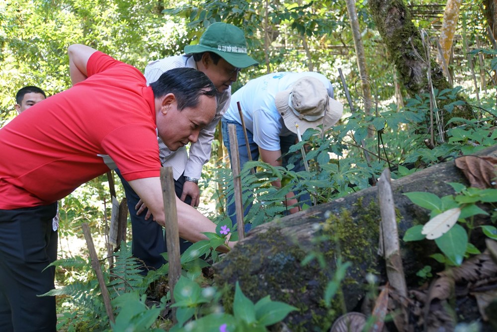 da-nang-danh-500-ti-dong-phat-trien-nong-nghiep-huu-co