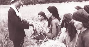 tu-tuong-ho-chi-minh-trong-xay-dung-dang-ngon-hai-dang-sang-to-soi-duong-trong-ky-nguyen-moi