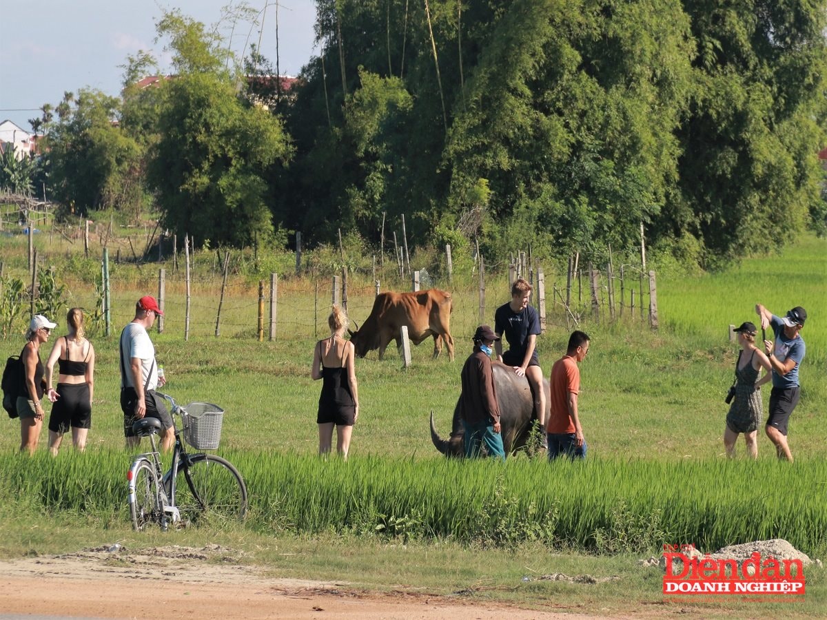 quang-nam-tap-trung-nang-cao-chi-so-pgi