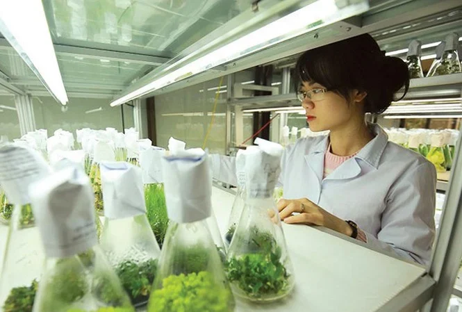 ban-hanh-bo-chi-tieu-va-thong-ke-dong-gop-cua-cong-nghe-sinh-hoc-cho-phat-trien-kinh-te-xa-hoi