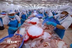 phat-trien-kinh-te-tu-nhan-tu-khat-vong-vuon-len-den-quyet-tam-hanh-dong