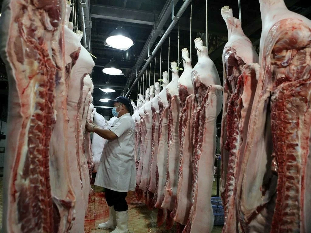 58 thông báo SPS trong nửa đầu tháng 10: Doanh nghiệp xuất khẩu cần lưu ý yêu cầu mới của các thị trường